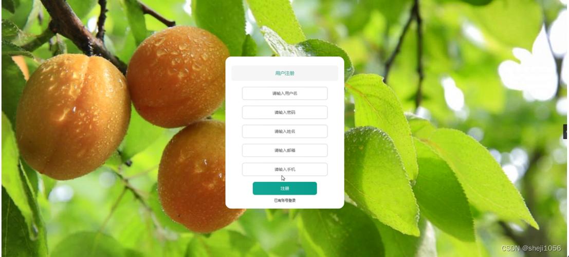 nodejs计算机毕业设计基于智慧农业的水果销售系统express